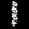 Торшер LOFT IT 10008F white