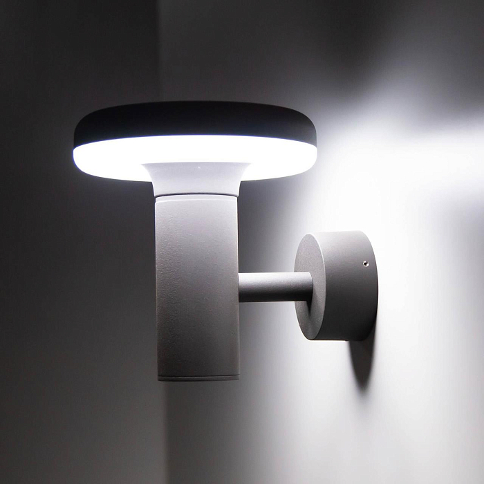 Уличный светильник Citilux CLU01W