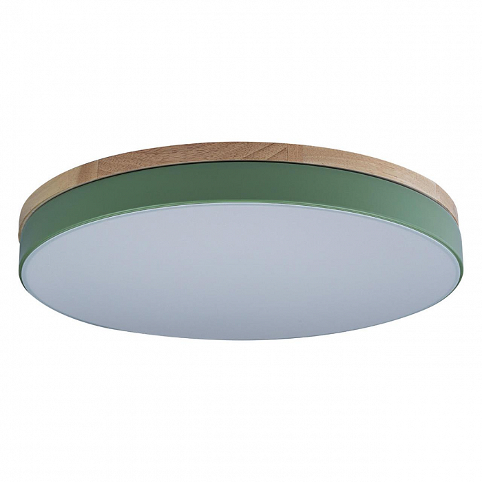 Светильник LOFT IT 10001/36 Green
