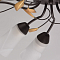 Люстра MW-Light 242015410