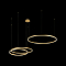 Светильник LOFT IT 10017/3S
