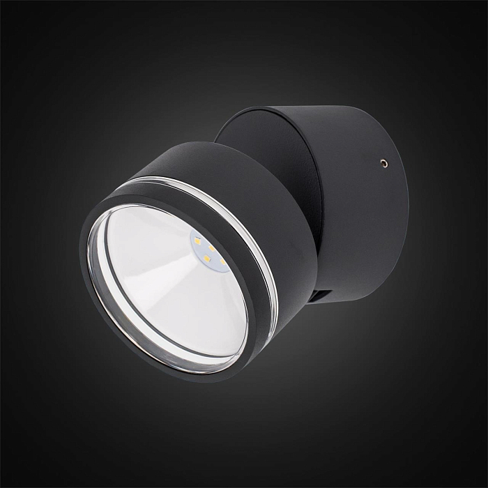 Уличный светильник Citilux CLU0008R