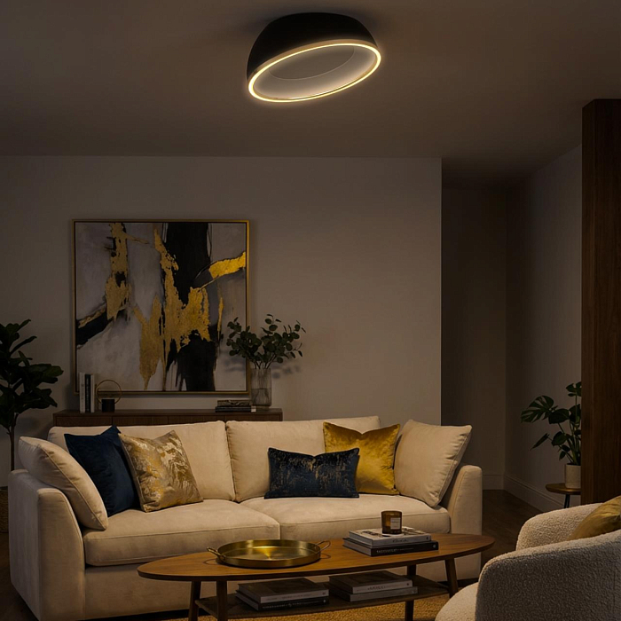 Светильник Citilux CL736151