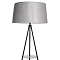 Торшер Citilux CL806022