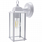 FERON 11601