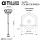 Уличный светильник Citilux CLU10P3