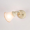 Спот Citilux CL511514