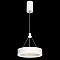 Светильник Citilux CL719010