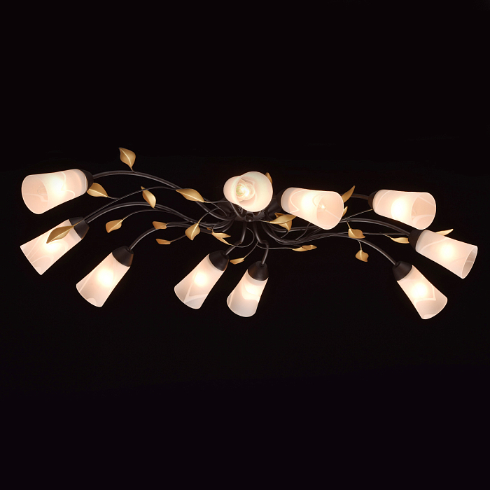 Люстра MW-Light 242015410