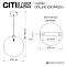 Светильник Citilux CL202041